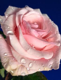 MASSAGE IN HORGEN - Horgen