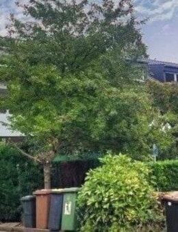 Ihr neues Zuhause zum Wohlfühlen - am Feldrand mitten im Grünen - mit guter Anbindung - Rommerskirchen