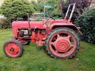 IHC Oldtimer Traktor - Auhausen