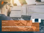 Organization & Prozessmanager (m/w/d) - Regensburg