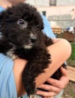 Kleine Göttin Sunna will Herzen erobern - München