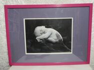 Anne Geddes Poster im Rahmen schlafendes Baby auf Hand - Rödermark Zentrum