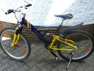 Jugend Fahrrad Mountain Bike 26 Zoll Mercury 24 Gang TOP - Amberg