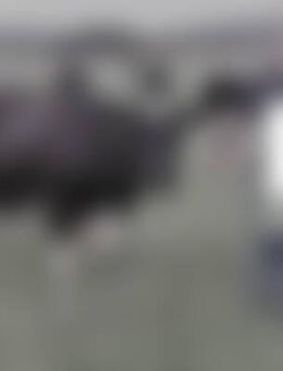 Har*** - Lichtenfels (Hessen)