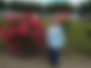 Ann*** - Cottbus