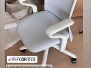 ergonomischer Bürostuhl BS13 Flexispot - Augsburg