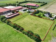 Landleben pur: Einfamilienhaus mit Pferdestallung und 4000 m² Grünland - Königslutter (Elm)