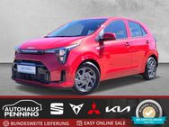 Kia Picanto, 1.0 PE2 MT VISION, Jahr 2024 - Zetel