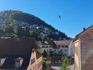 Erstvermietung von kernsanierter Wohneinheit mit Aufzug und herrlichem Ausblick - Eberbach