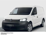 VW Caddy, Maxi argo 2 0 L TDI Winterpaket, Jahr 2022 - Essen