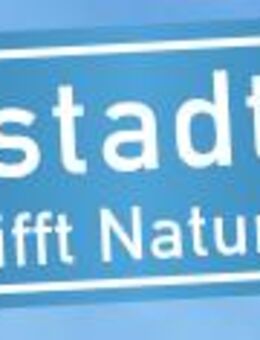 KI- und Digitalisierungsbeauftragter (m/w/d) - Weinstadt