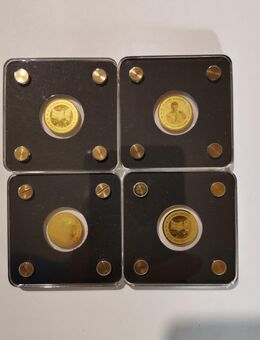 4 Goldmünzen "30 Jahre Mauerfall" 1/500 oz 999er Feingold, Polierte Platte - Neufahrn (Freising)