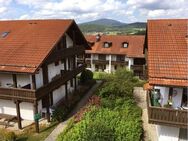 Apartments im Grünen HERZ des Nationalparks Bayerischer Wald - Zwiesel