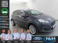 Ford Fiesta, 1.0 EcoB Trend ( PPS ), Jahr 2013 - Premnitz