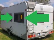 Knaus Eurostar Wohnwagenfenster ca 132 x 62 bzw 127 x 54 geb. Bir - Schotten Zentrum