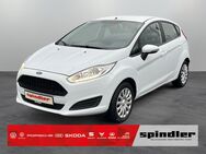 Ford Fiesta, 1.0 Trend Cool &, Jahr 2017 - Kitzingen