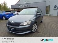 Skoda Fabia, 1.0 TSI Cool Plus Metallic, Jahr 2018 - Bad Belzig