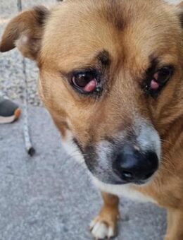 SCHOKO - gemeinsam beschäftigen - Overath