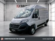 Opel Movano, 8.6 Kasten HKa L2H2 t 140 3 C Cargo Edition GEWERBEDEAL 290 netto, Jahr 2024 - Kamen