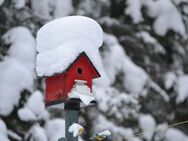 Einzigartiges Fertighaus von Bien-Zenker: Ihr Zuhause für schöne Momente! - Dülmen