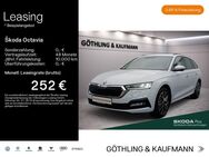 Skoda Octavia, 1.5 TSI IV Combi Ambition, Jahr 2024 - Hofheim (Taunus)