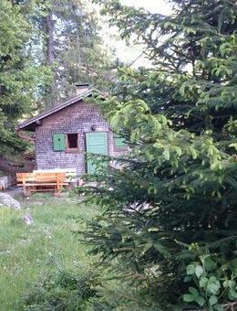 Unsere urige Hütte in einsamer Lage bietet ihnen zu allen Jahreszeiten ein unvergessliches Erlebnis. - Schluchsee