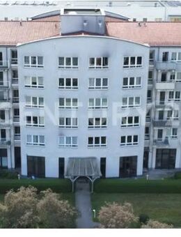 Paket v. 45 ETW in 14480 Drewitz - Chemnitz