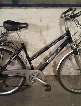 Damenfahrrad 28'' mit Korb - Berlin Neukölln