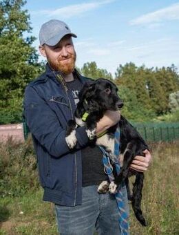 Herzensbrecher Bobby sucht seine Familie - Siggelkow