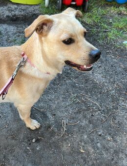 Luna Sucht Erfahrene Menschen - Braunschweig