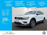 VW Tiguan, Allspace Comfortline, Jahr 2021 - Immenstadt (Allgäu)