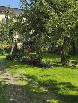 80m² große 3 Raumwohnung ab sofort bezugsfrei - Görlitz