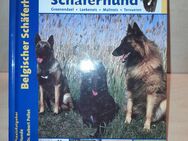 Belgischer Schäferhund - Dr. Robert Pollet - Schiltach