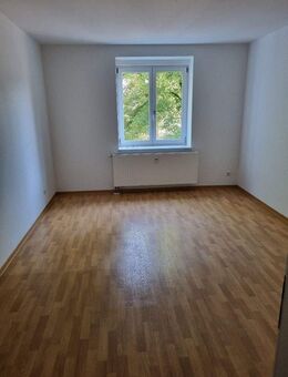 Schöne 2 Raumwohnung mit Balkon - Chemnitz