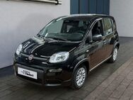 Fiat Panda, 1.0 GSE Hybrid (312), Jahr 2024 - Lauchringen