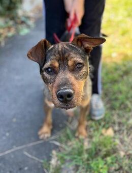 Taron - Neustadt (Rübenberge)