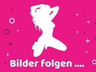 NEU 🔥 TS JASMIN big cock 22x8 - 100% real 🍑 HEISSER SERVICE garantiert! 🔥 - Frankenberg (Eder)