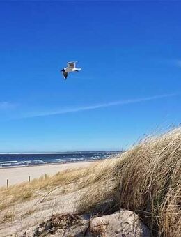 Suche Frau für eine feste Beziehung - Wetzlar