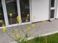 3-Zimmer-Eigentumswohnung in Rheinfelden-Nollingen / Gartenwohnung mit großer Südwestterrasse und Gartenanteil • Energieverbrauch: 34 kWh (m²·a) - Rheinfelden (Baden)