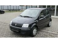 Fiat Panda 1.2 8V MyLive Klimaanlage/City-Lenkung - Adelheidsdorf