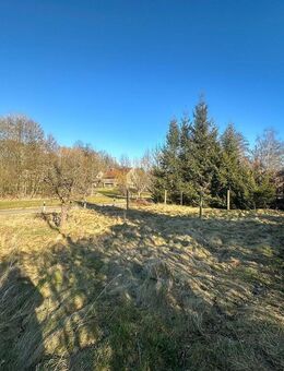 Ein- / Zweifamilienhaus mit großzügigen Nebengelass in Königshain! - Königshain