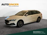 Skoda Octavia, 2.0 TDI Combi Ambition, Jahr 2023 - Kaufbeuren