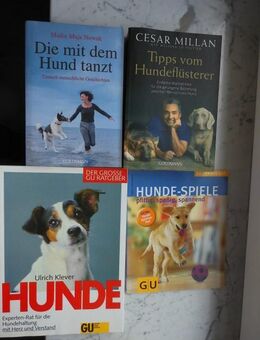 Tipps vom Hundeflüsterer, Die mit dem Hund tanzt, Hunde-Ratgeber, Hunde-Spiele. Cesar Millan, Maike Maja Nowak, Ulrich Klever, Brigitte Eilert-Overbeck. 4 Hunde-Bücher zus. 7,- - Flensburg