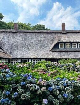 14 ha Fachwerkjuwel im Grünen - Wildeshausen