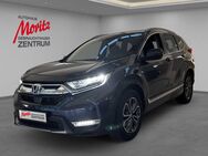 Honda CR-V, 2.0 Lifestyle, Jahr 2022 - Laatzen