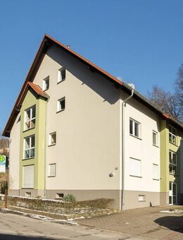 Moderne Wohnung in der herrlichen Urlaubsregion Sächsische Schweiz - Stadt Wehlen Zentrum