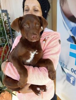 LINDT 🩵🩵🩵 sonnig, liebenswert, sozial - Herxheim (Landau)