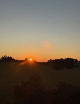 Ein Zuhause mit Horizont - Freie Sicht bis zum Abendrot, Raum für Leben und Arbeiten! - Bergkirchen