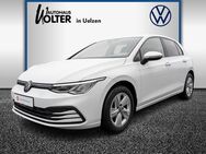 VW Golf, 1.0 TSI VIII OPF, Jahr 2021 - Uelzen