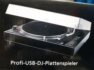 Profi Dj Plattenspieler - Raubling